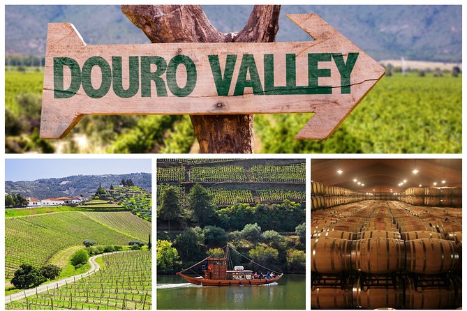 Douro Valley Tour: Wine Tasting, Cruise and Lunch from Porto - What makes this Douro Valley day worth considering