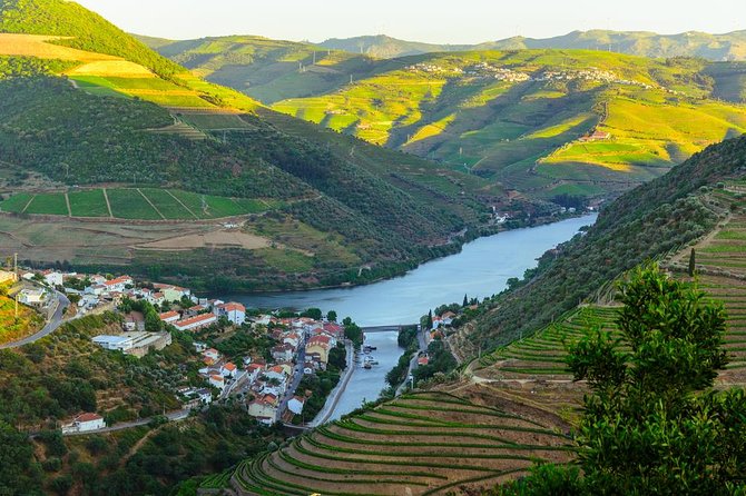 Douro Valley Tour: Wine Tasting, Cruise and Lunch from Porto - Lunch beside the Douro