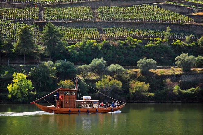 Douro Valley Tour: Wine Tasting, Cruise and Lunch from Porto - Viewpoints, photos, and the return drive