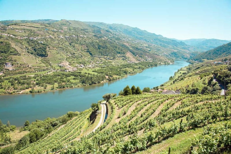 Douro Valley: Tour with Wine Tastings, Lunch, and Boat Ride - Key points to know before booking
