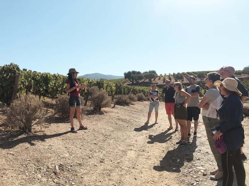 Douro Valley: Tour with Wine Tastings, Lunch, and Boat Ride - Is $169 a fair price?