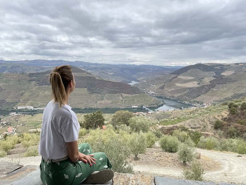 Douro Valley: Tour with Wine Tastings, Lunch, and Boat Ride - Who will enjoy this Douro Valley day most?