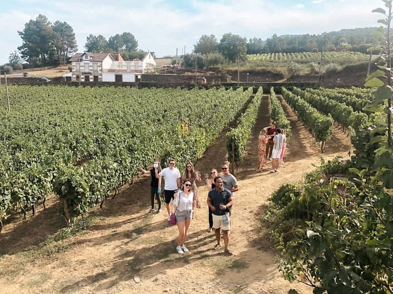 Douro Valley: Tour with Wine Tastings, Lunch, and Boat Ride - The first estate: Port wine, cheese, and the valley’s old trade