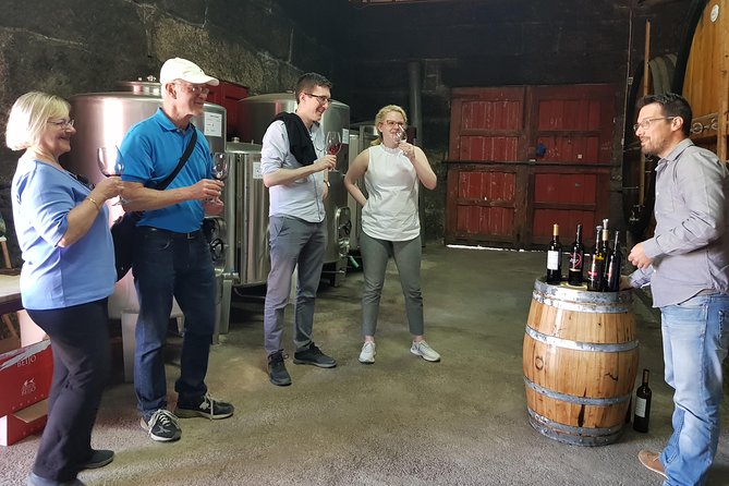 Douro Valley Wine Tour: 3 Vineyard Visits, Wine Tastings, Lunch - Pinhão and the climb toward lunch