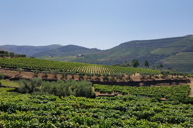 Douro Valley Wine Tour: 3 Vineyard Visits, Wine Tastings, Lunch - Sabrosa: four courses at the third winery