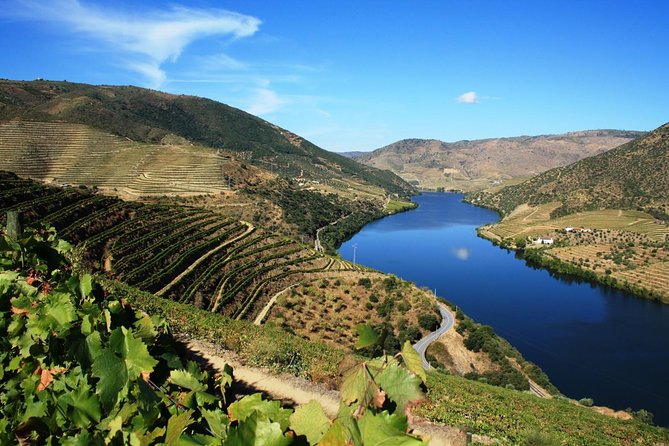 Douro Valley Wine Tour: 3 Vineyard Visits, Wine Tastings, Lunch - National Road 222 and the Douro’s best views