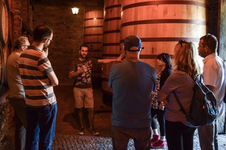 Douro Valley: Winery Tour at Quinta do Tedo and Tastings - Is the $42 Price Good Value?