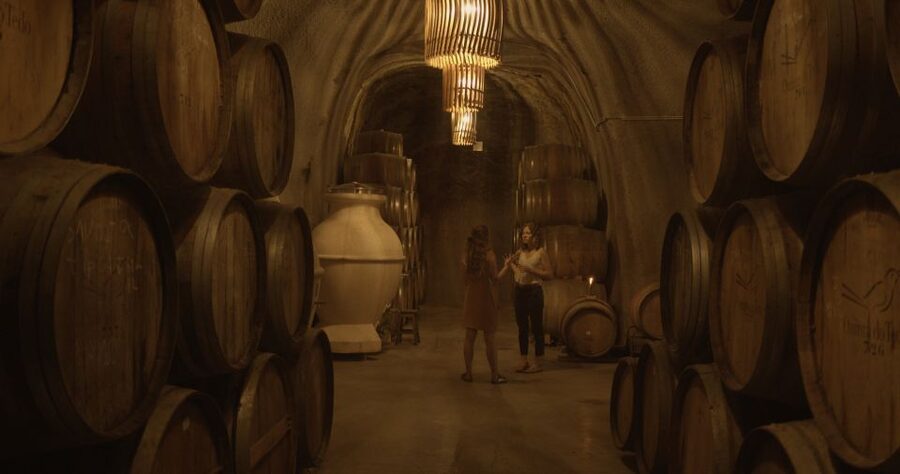 Douro Valley: Winery Tour at Quinta do Tedo and Tastings - Who Will Enjoy This Quinta Best?