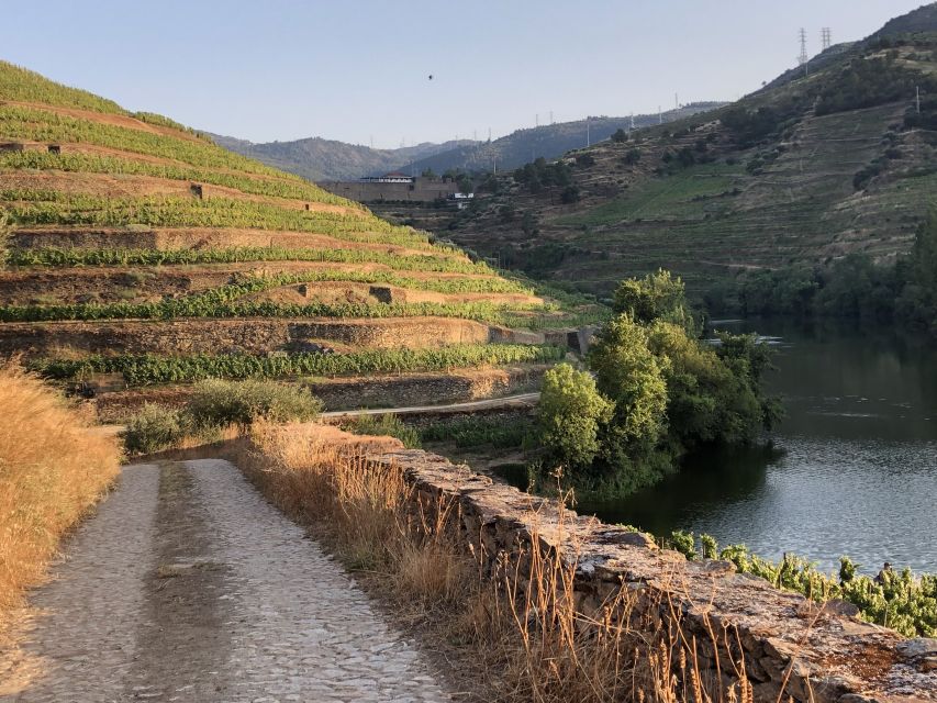 Douro Valley: Winery Tour at Quinta do Tedo and Tastings - Scheduling, Languages, and Practical Details