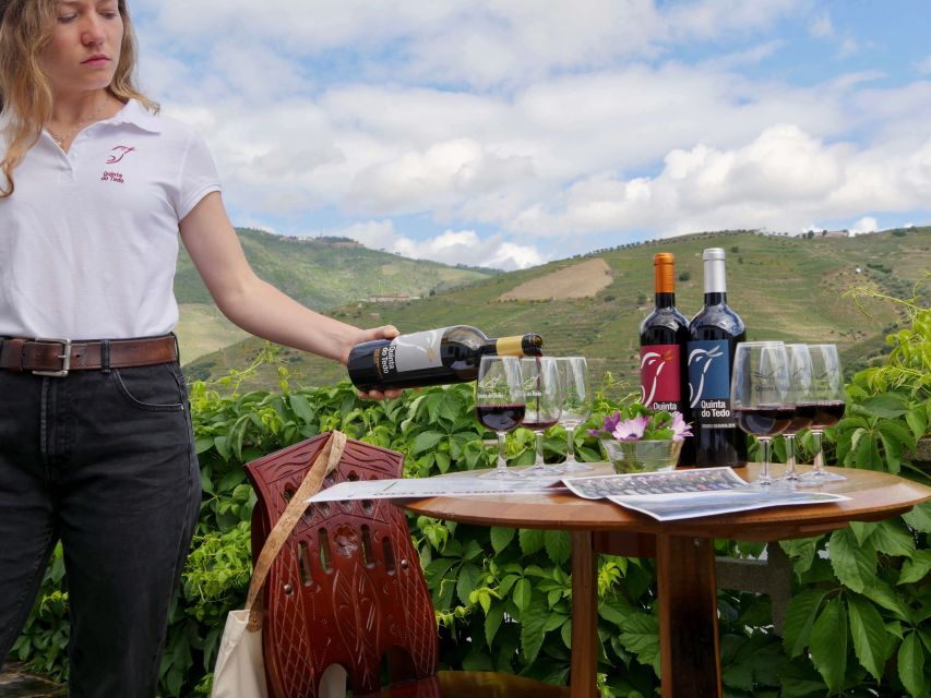 Douro Valley: Winery Tour at Quinta do Tedo and Tastings - Should You Book the Quinta do Tedo Visit?