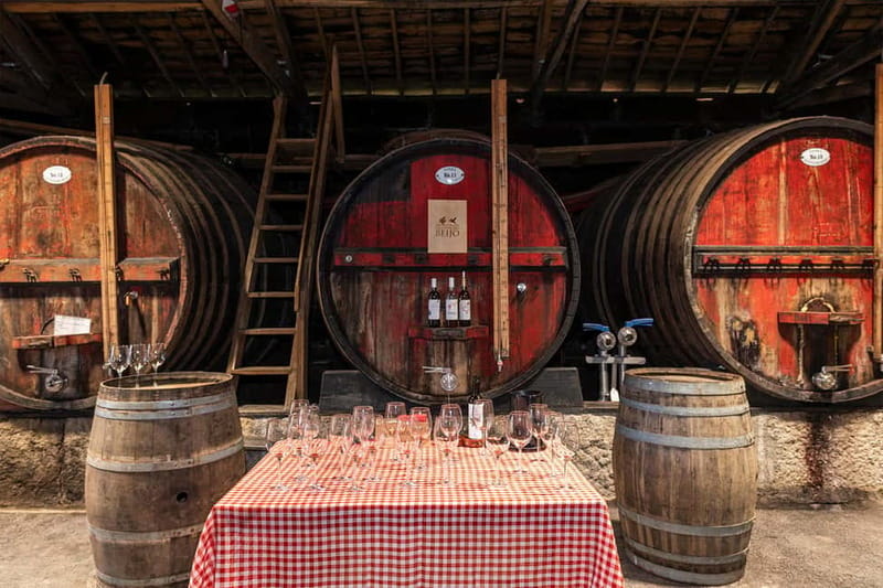 Douro Valley: Winery, Traditional Lunch & Private Boat Trip - Is $223 a fair price?