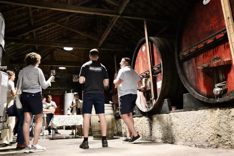 Douro Valley: Winery, Traditional Lunch & Private Boat Trip - The guides make or break the day