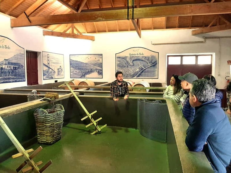 Douro Valley: Winery, Traditional Lunch & Private Boat Trip - The 70-minute drive from Porto