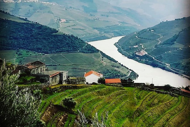 Douro Valley with Two Winery, Boat Trip and Lunch From Porto - Viewpoints reveal why the valley takes time