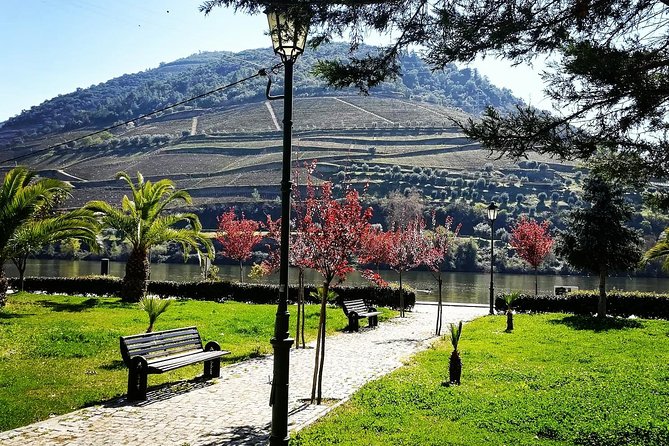 Douro Valley with Two Winery, Boat Trip and Lunch From Porto - Tabuaço supplies the day’s biggest meal