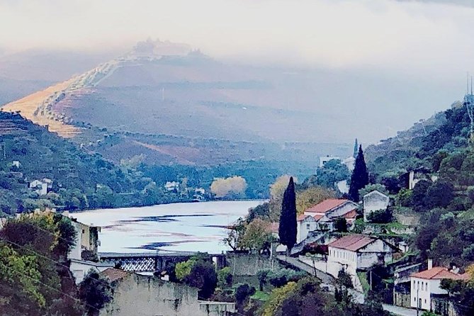 Douro Valley with Two Winery, Boat Trip and Lunch From Porto - The second producer shows a more local side