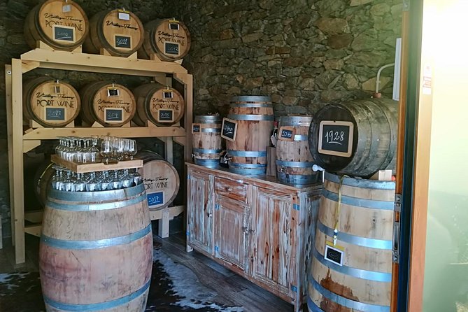 Douro Valley with Two Winery, Boat Trip and Lunch From Porto - The ride back is part of the experience