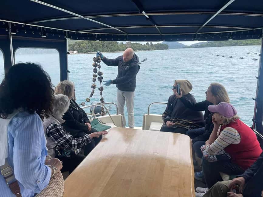 Dubrovnik: Oyster, Mussles, and Wine Tasting Tour in Ston - Timing, group size, and what to pack