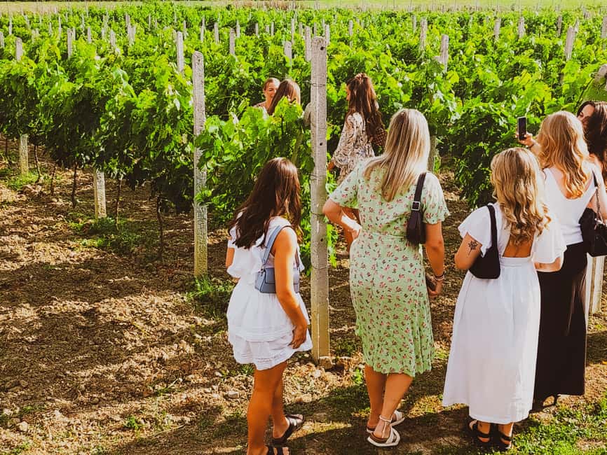 Durres Countryside Vineyards Wine Tasting & Food Pairing - Leaving Durrës for the hills