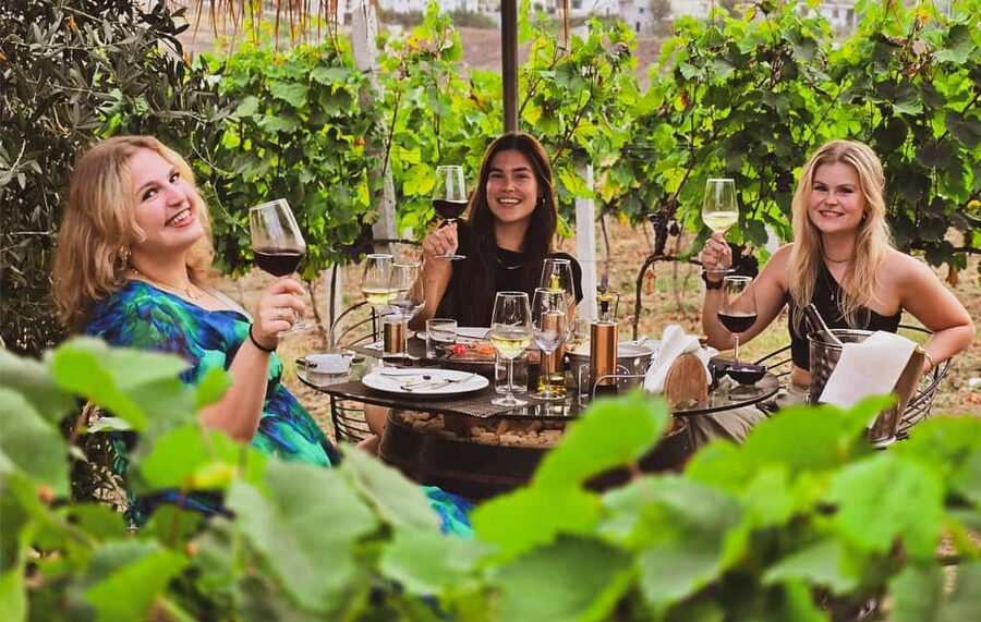 Durres Countryside Vineyards Wine Tasting & Food Pairing - Walking among Albanian vines