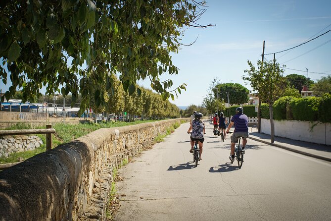 Ebike Tour, Winery, Wine Tasting & Sailing Experience(car option) - Choosing the e-bike, car, or sailing arrangement