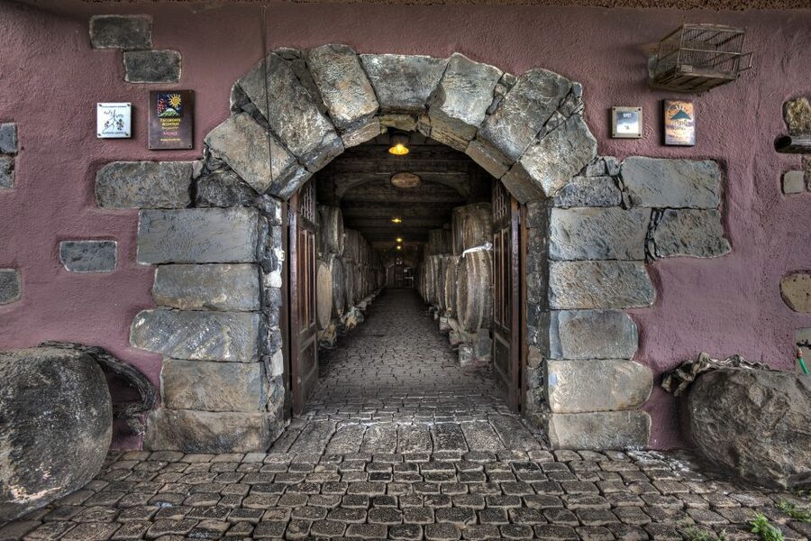 El Sauzal: Winery Tour and Mojo Sauce Workshop - Touring the traditional Bodegas Monje