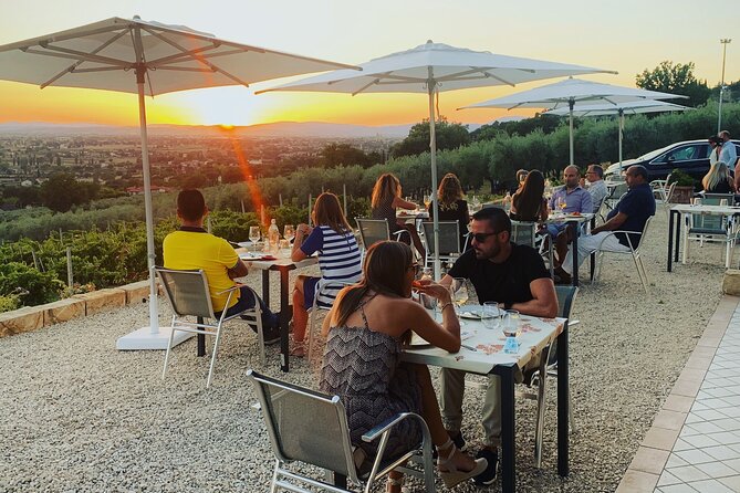 Enjoy and Taste the Flavors of Wine in an Open-air Venue - Outdoor beauty versus indoor comfort