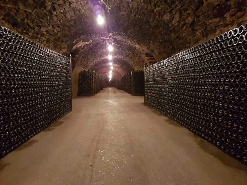 Epernay: Guided Tour of Champagne Cellar with Tastings - The cellar temperature is part of the experience
