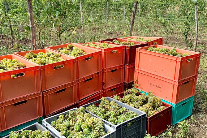 Epicurean Discovery Tour with Wine & Local Specialties - Local specialties in the former stables