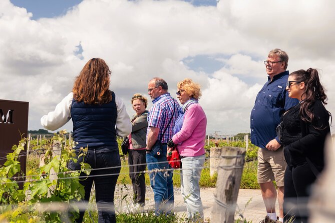 Essential Wine Tour with Tasting & Chateau Visits from Bordeaux - The 30-minute ride into Bordeaux wine country