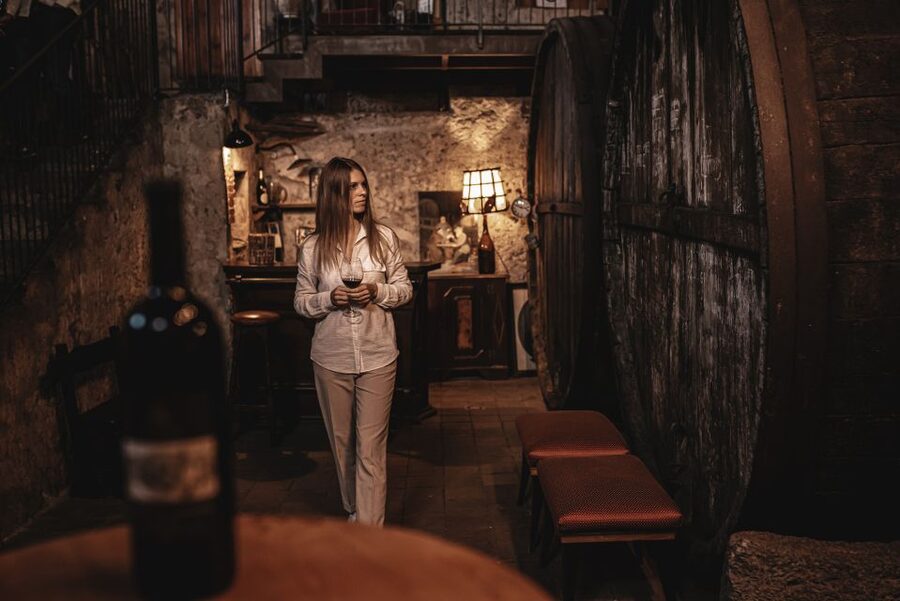 Etna Urban Winery, Vineyard Walk & Sunset Tasting Dinner - Key points to know before you go