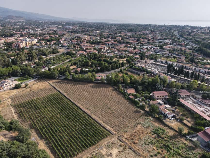 Etna Urban Winery, Vineyard Walk & Sunset Tasting Dinner - Practical details for a smoother visit