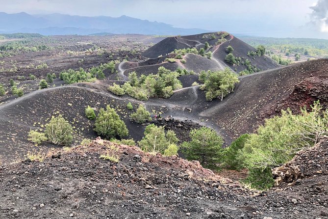 Etna, Wine and Alcantara Tour - From Taormina - Key details before you book