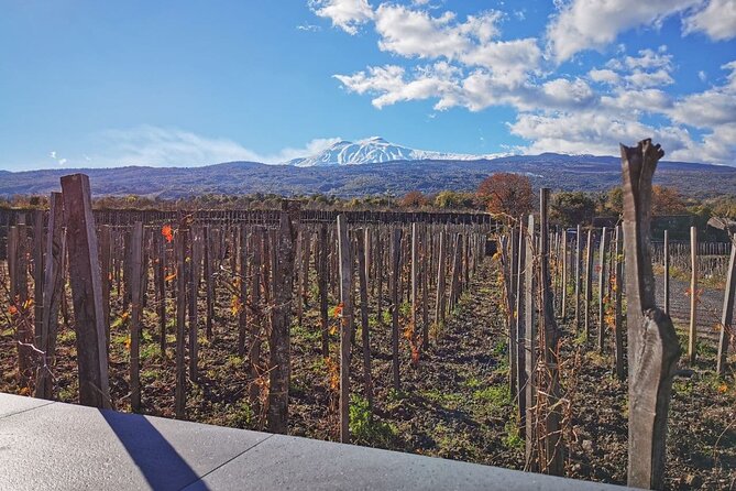 Etna Wine and Alcantara with lunch - Meeting in Catania at 8:30 am