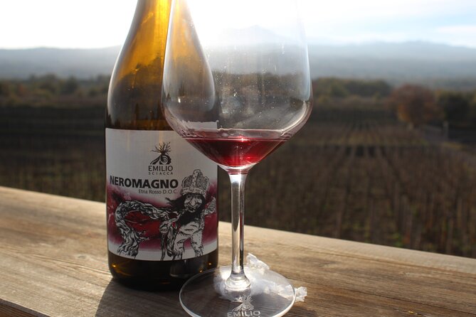 Etna Wine and Alcantara with lunch - Walking the northeastern side of Etna