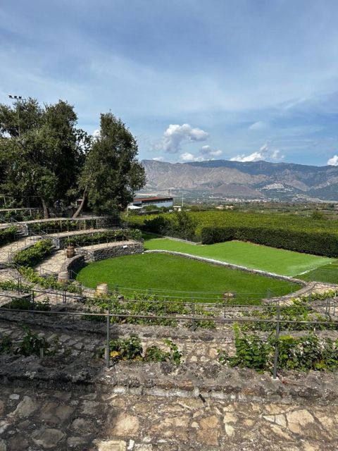Etna: Wine Tasting and Food Tour - The second winery turns tasting into lunch