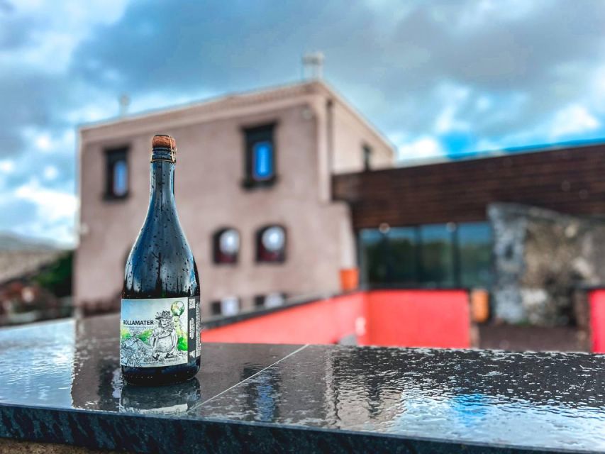 Etna: Wine Tasting and Food Tour - Practical tips for a smoother day