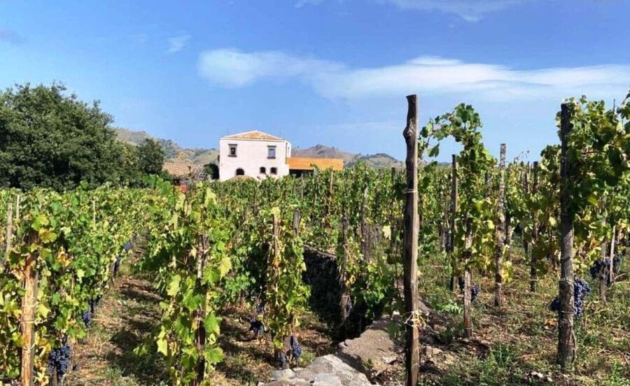 Etna: Wine Tasting and Food Tour - The drive from Catania to Zafferana Etnea