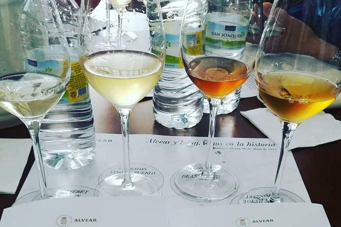 Evening Wine Tasting Córdoba - Who should book this experience?