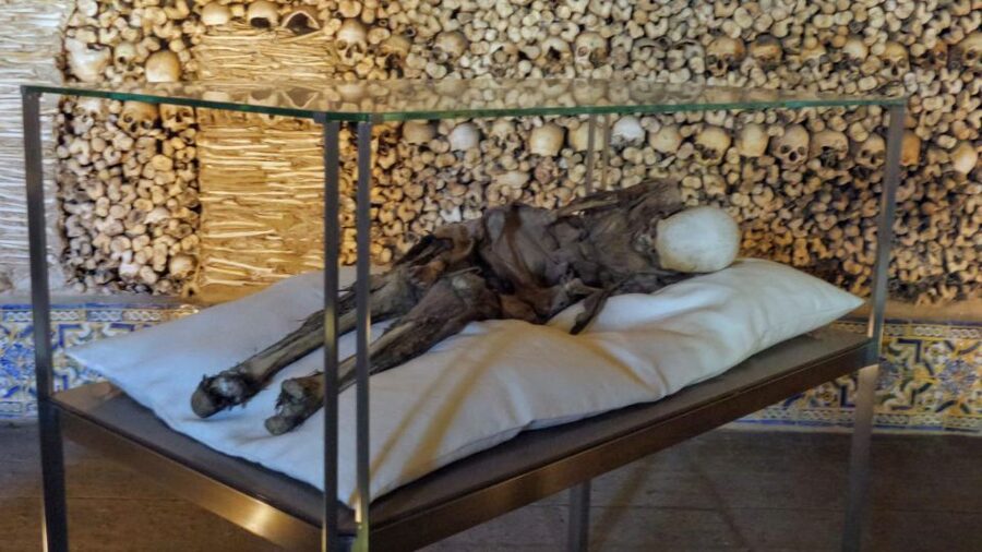 Evora University, Cathedral & Bones Chapel — SkipLine + Wine - Why This Three Hour Walk Works In Évora