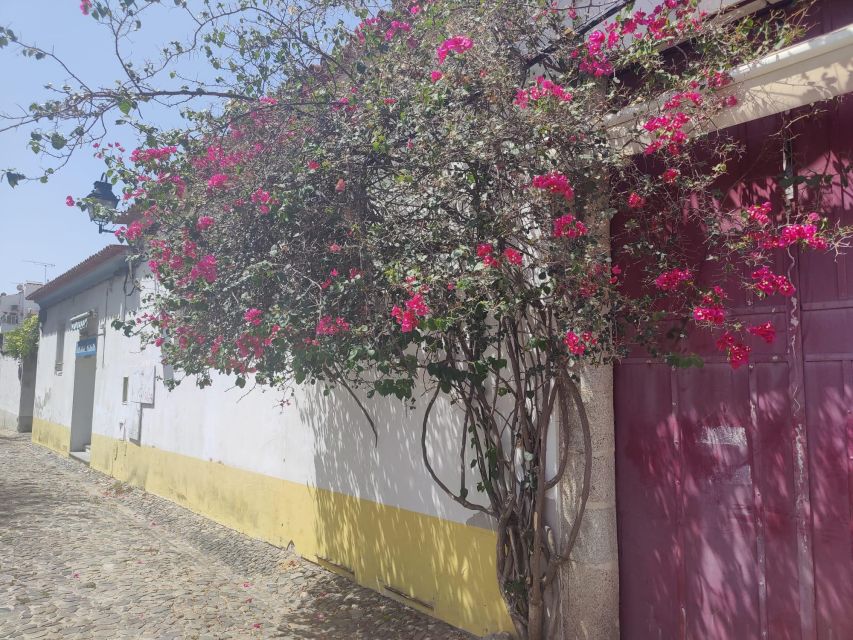 Evora University, Cathedral & Bones Chapel — SkipLine + Wine - Jardim Diana And The City’s Open Spaces