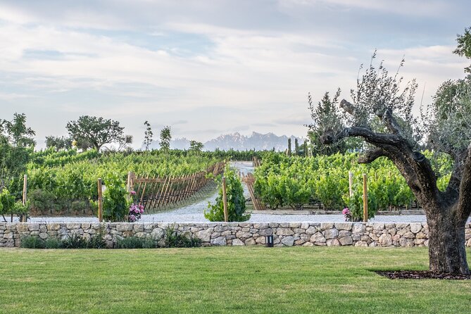 Familia Torres Winery: Gastronomic Tapas & Wine Experience - The Catalan tasting menu is the heart of the visit