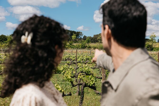 Familia Torres Winery: Gastronomic Tapas & Wine Experience - Four pours, four different styles