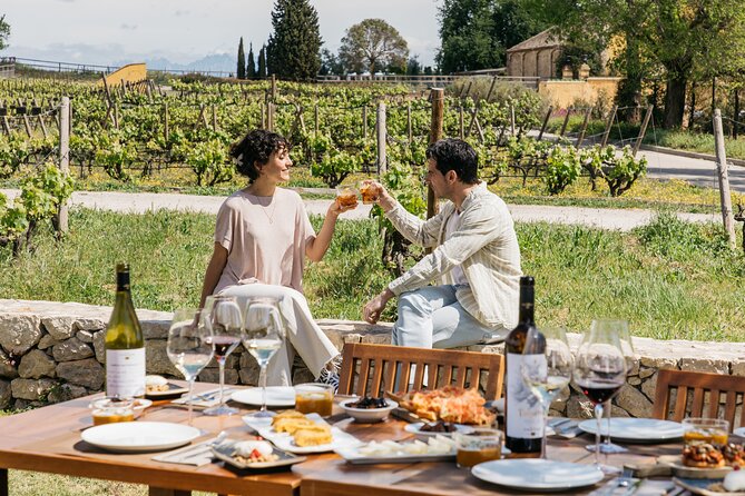 Familia Torres Winery: Gastronomic Tapas & Wine Experience - How the five-hour schedule feels