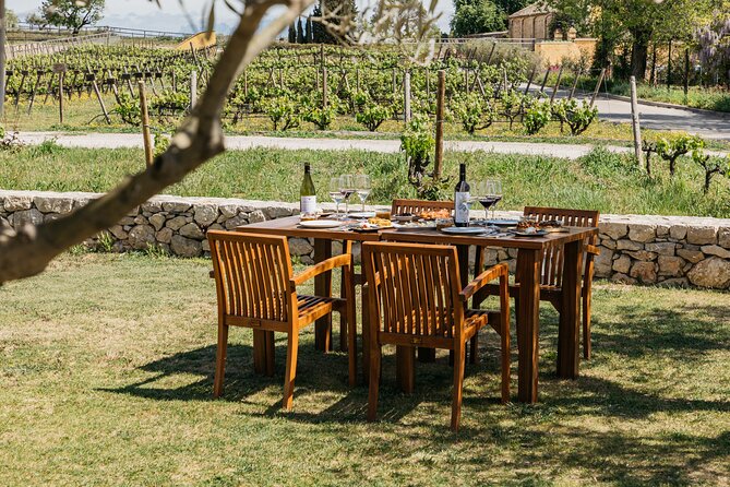 Familia Torres Winery: Gastronomic Tapas & Wine Experience - Price and value at $151.23
