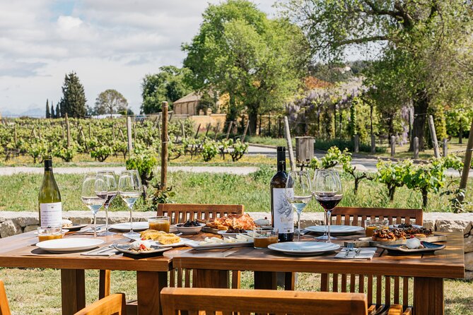 Familia Torres Winery: Gastronomic Tapas & Wine Experience - The 1870 Torres story and the Penedès setting