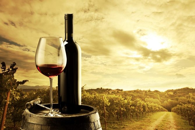 Feed Me Food and Wine Experience in Adelaide - What the 90-minute itinerary feels like