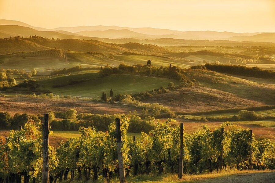 Florence/Badesse: Tuscany Group Vespa Tour with Wine Tasting - Riding through the Chianti Hills