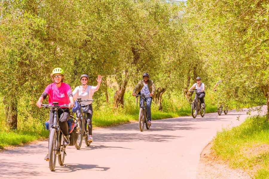 Florence: Chianti E-Bike Tour with Lunch & Two Wine Tastings - The best part of the ride: Tuscan views and quiet roads
