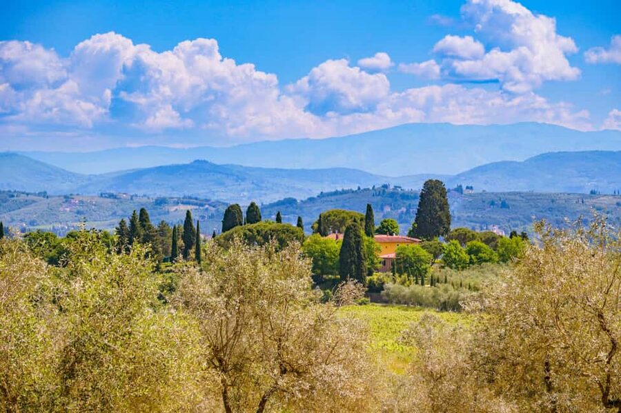 Florence: Chianti E-Bike Tour with Lunch & Two Wine Tastings - Leaving Florence for the Chianti hills